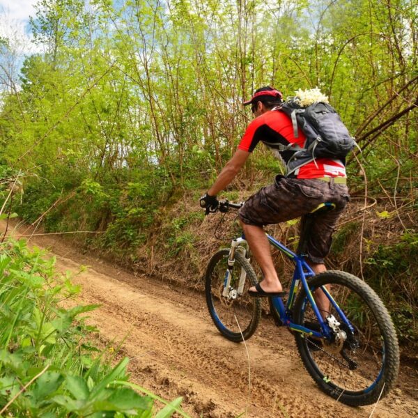 person on mountain bike